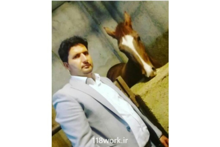 باشگاه پرورش اسب کرد کرمی در کرمانشاه 