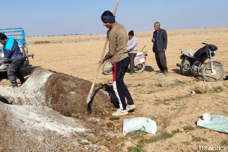 نمایندگی فروش گوگرد ارگانیک معدن زرکوه