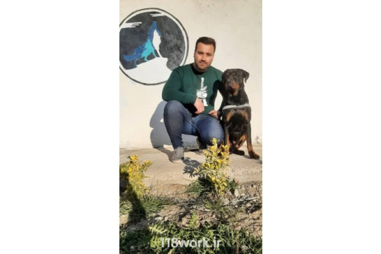 مربی سگ در سراسر ایران