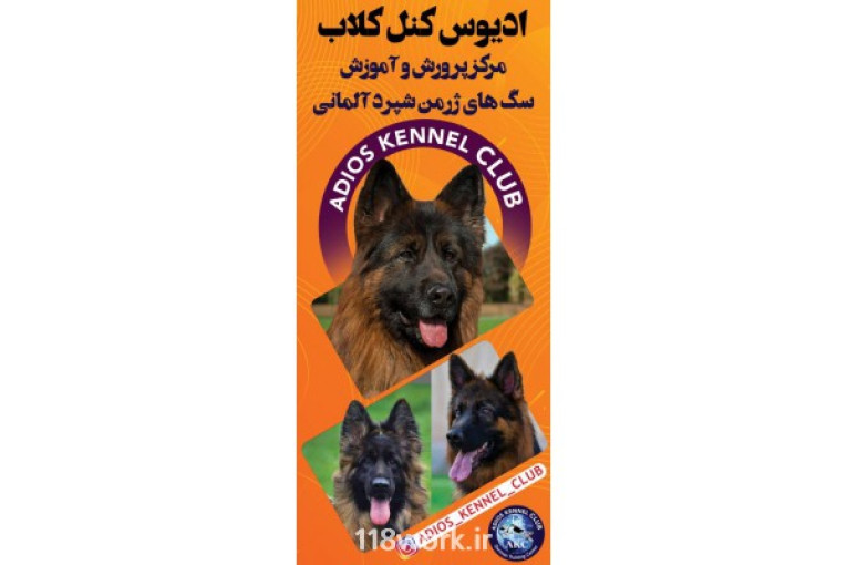 مرکز پرورش سگ چوپان آلمانی ژرمن شپرد در هرمزگان و فارس و تهران