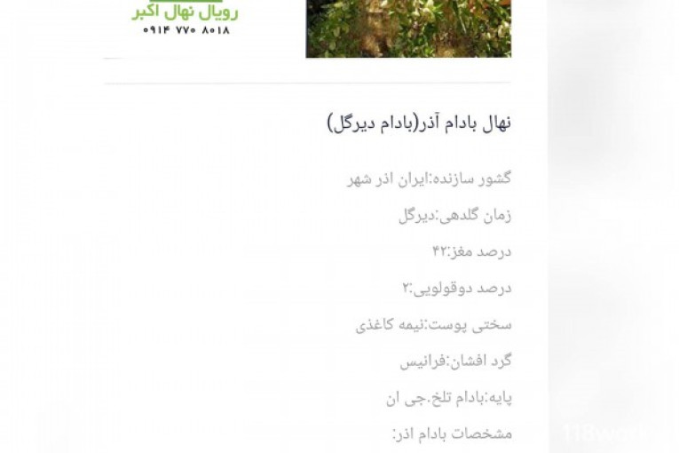 نهالستان رویان نهال اکبر در میاندوآب