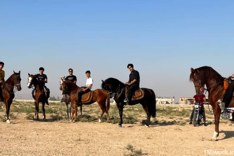 باشگاه سوارکاری هورس کریمی (karimi horse) در جهرم