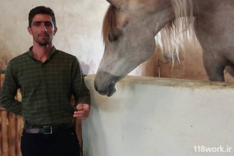 خرید و فروش و پرورش اسب در زنجان 