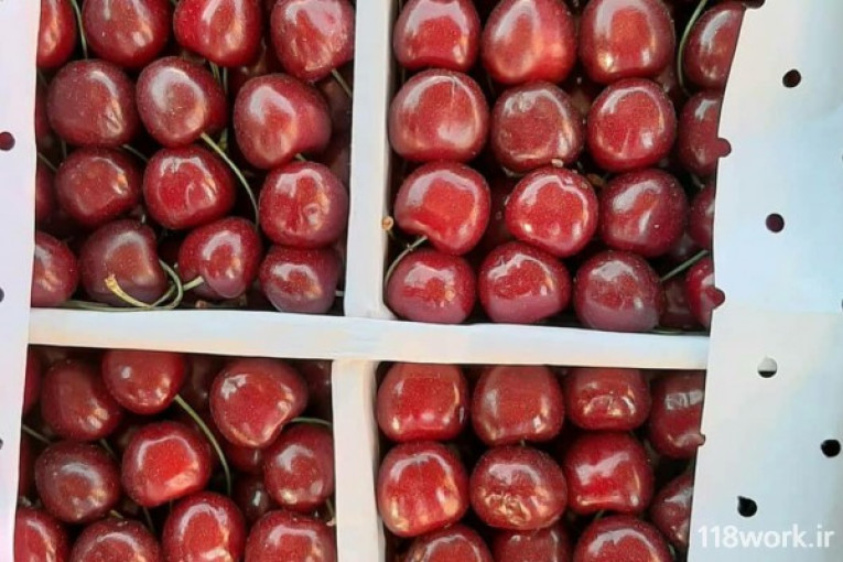 صادرات میوه تره بار به کشور عراق (شاویسی)