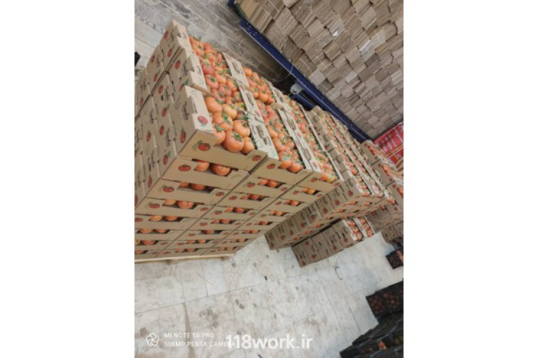 صادرات محصولات کشاورزی در شیراز و حاجی آباد 