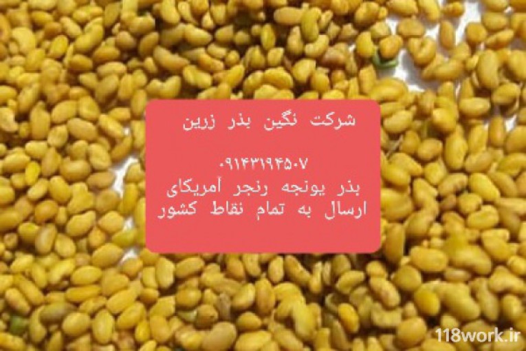 واردات و صادرات بذر یونجه (شرکت نگین بذر زرین) در تبریز