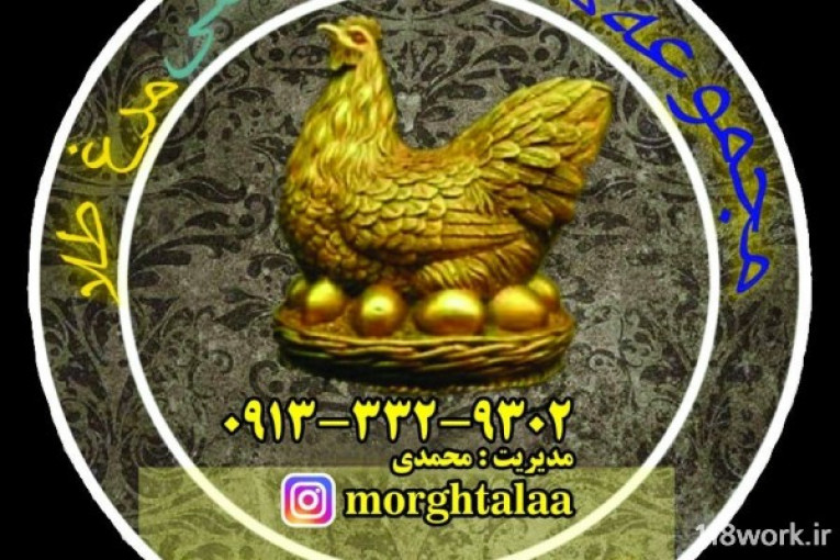 مجموعه ماکیان زینتی مرغ طلا در اصفهان(محمدی)