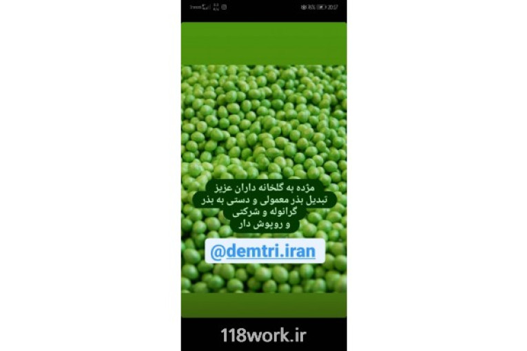 خدمات گوتینگ و پرایمینگ و پلیت بذر (دیمتری) در شیراز