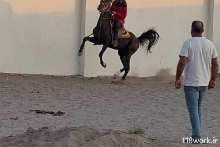 مجموعه سوارکاری و پرورش اسب غزال در سیرجان