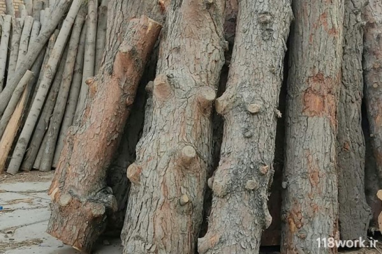 صنعت چوب مرکزی عامری در پاکدشت