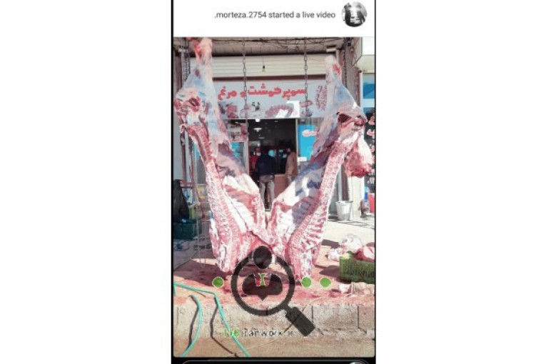 فروشگاه سوپر پروتئین بهار در سپیدان