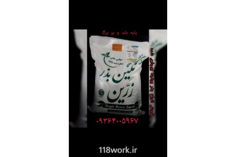 قیمت بذر یونجه در مدل های مختلف