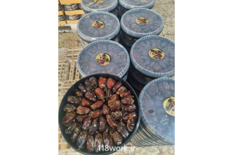 فروش و پخش عمده خرمای صالحی در آب بخش بوشهر