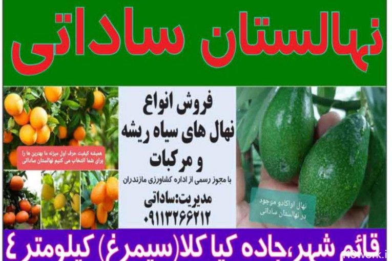 نهالستان ساداتی در قائمشهر