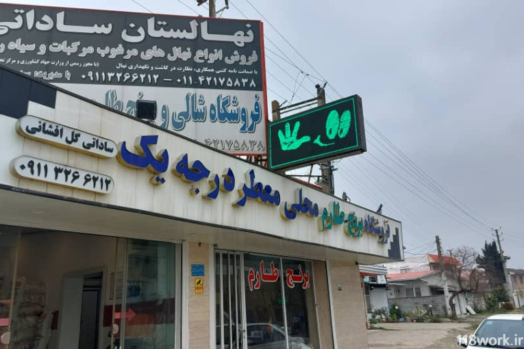 نهالستان ساداتی در قائمشهر