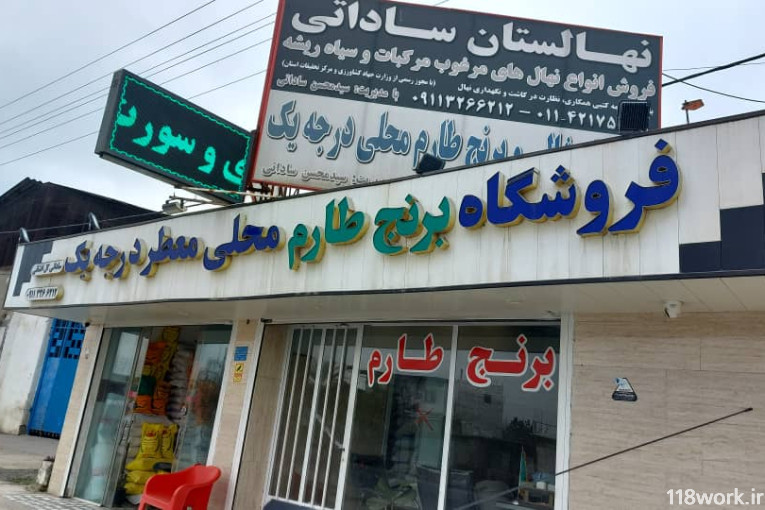 نهالستان ساداتی در قائمشهر