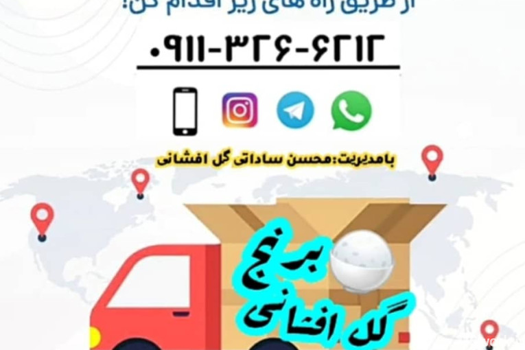 نهالستان ساداتی در قائمشهر