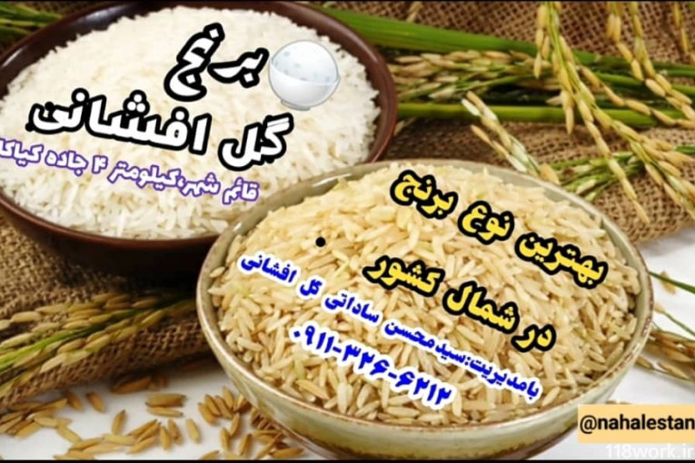 نهالستان ساداتی در قائمشهر