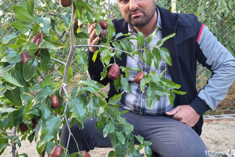 نهالستان برتر آذربایجان در شبستر آذربایجان شرقی