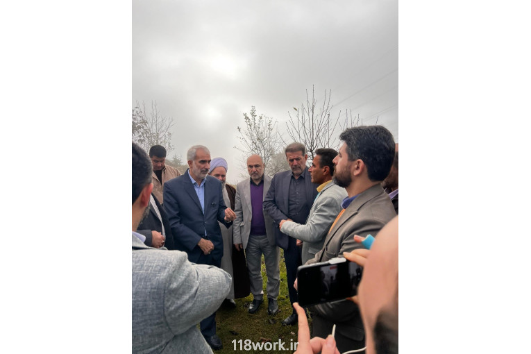توليد و فروش كاج نوئل آبی تيمورنژاد در مازندران