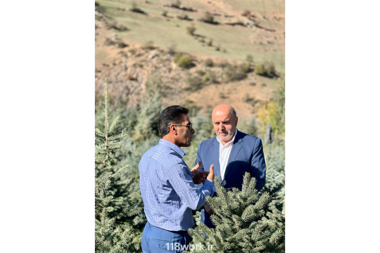 توليد و فروش كاج نوئل آبی تيمورنژاد در مازندران