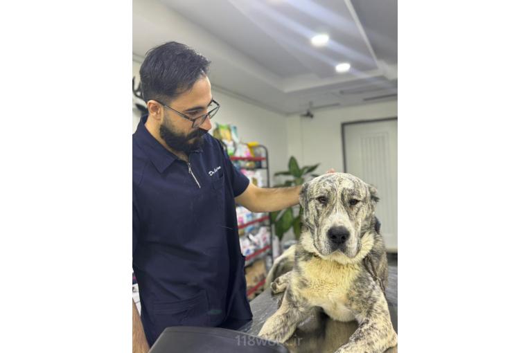 کلینیک تخصصی دامپزشکی خزر در ساری