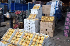 بارفروشی و تره بار اولیایی در شیراز