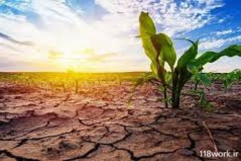 خشکسالی و مهمترین راهکارهای آبیاری باغات